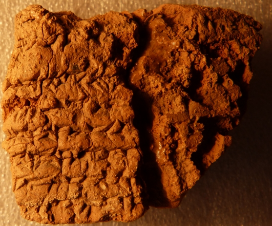 tablet