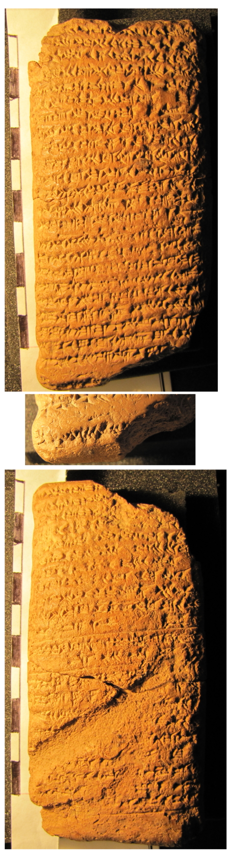 tablet