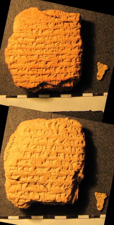 tablet