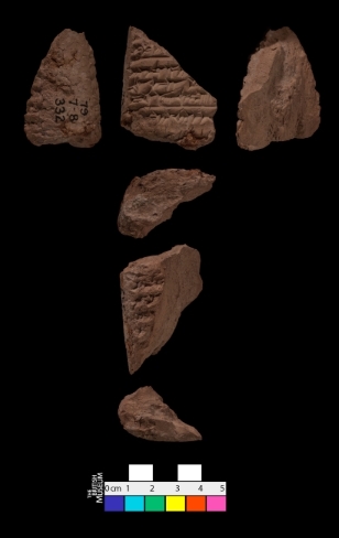 tablet